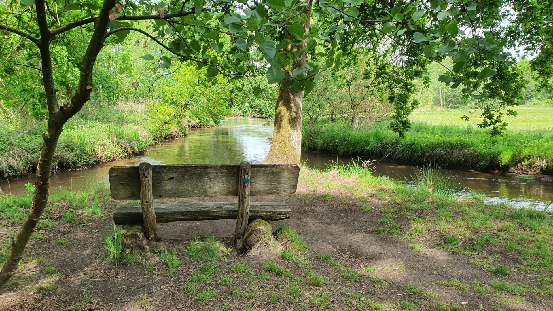 Een houten bank aan het water, onder de bomen